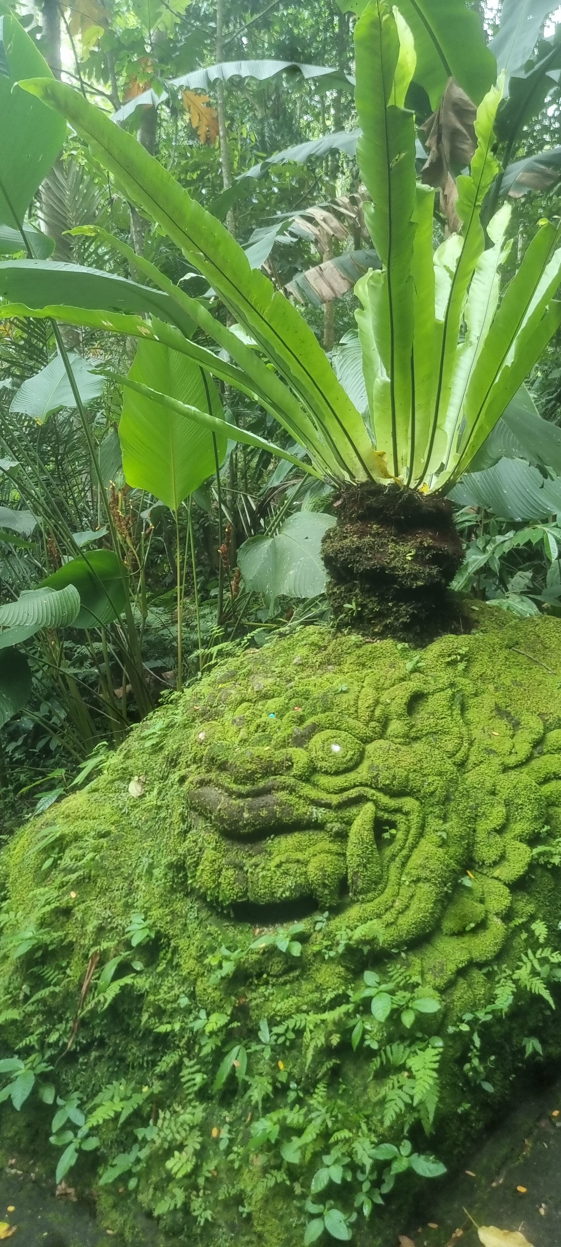 Bali — photo 7