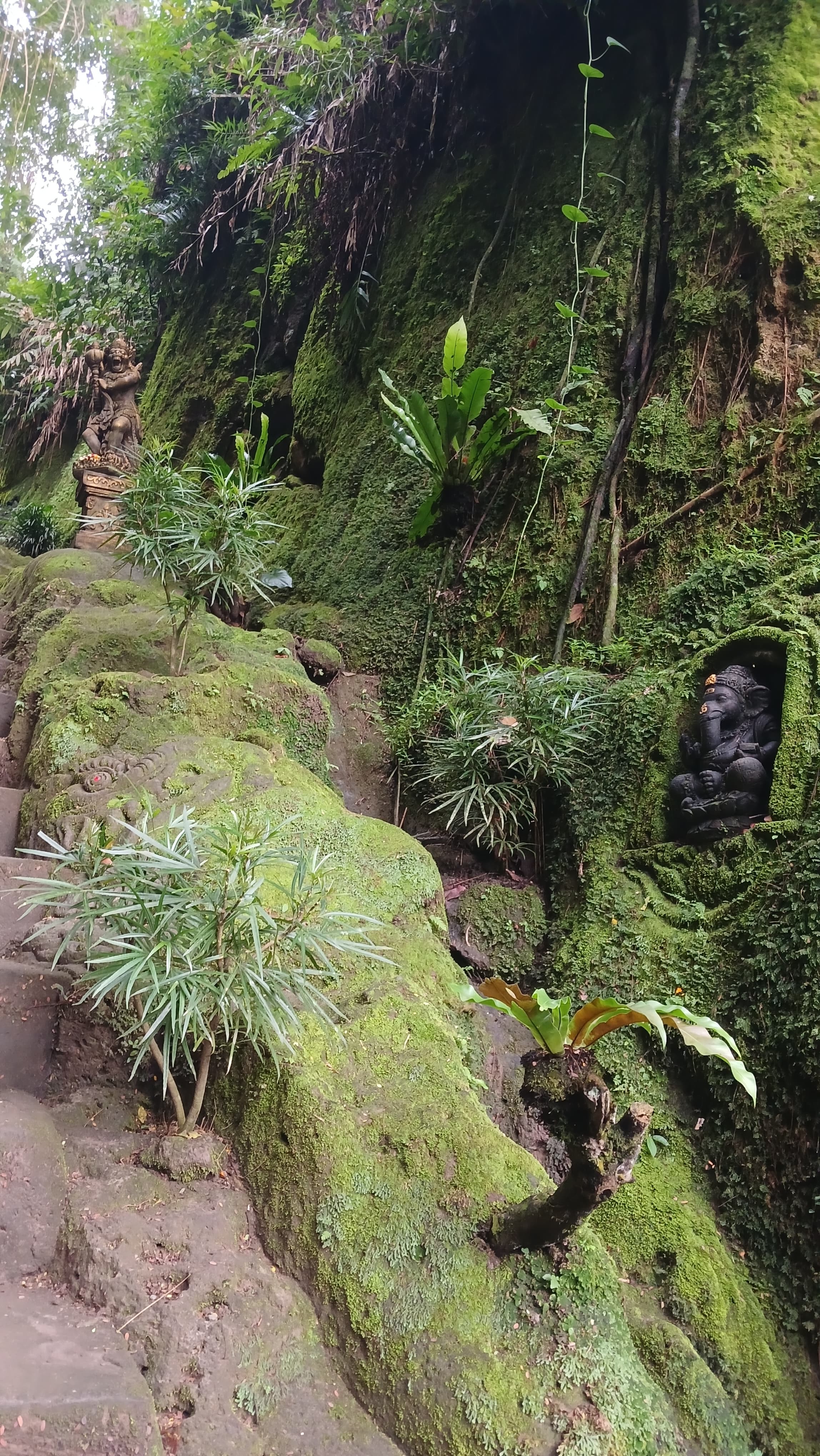 Bali — photo 8
