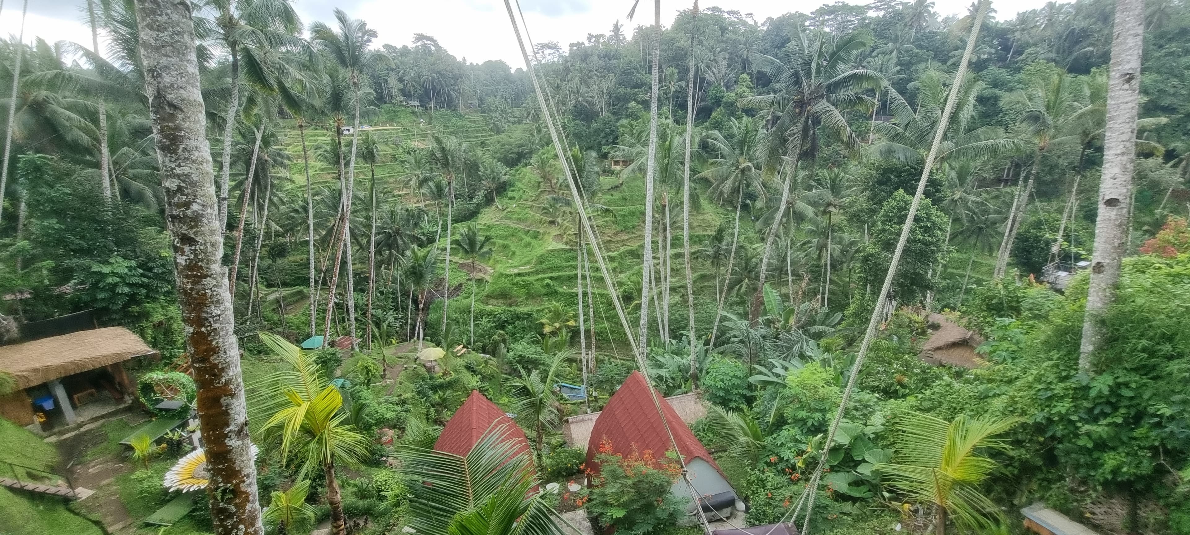 Bali — photo 15