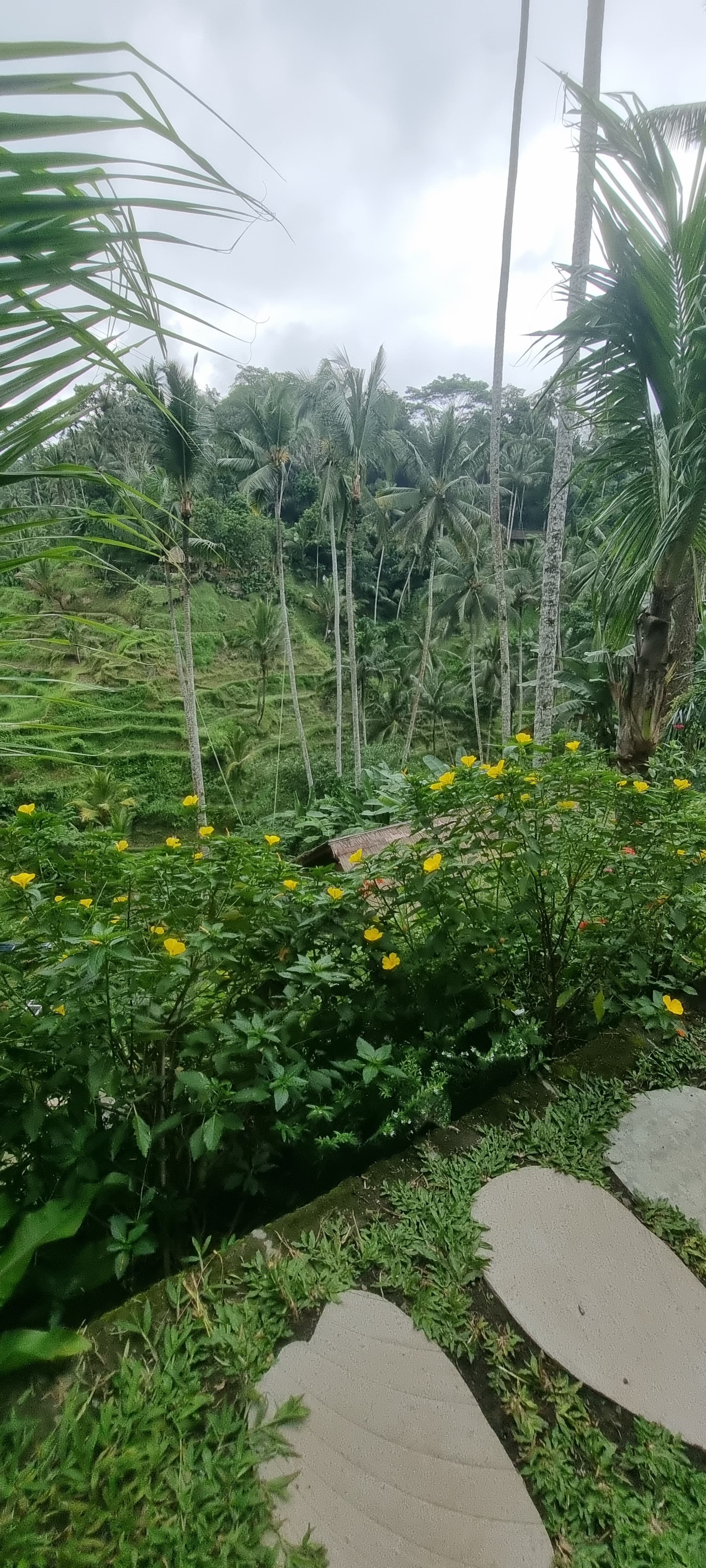 Bali — photo 17