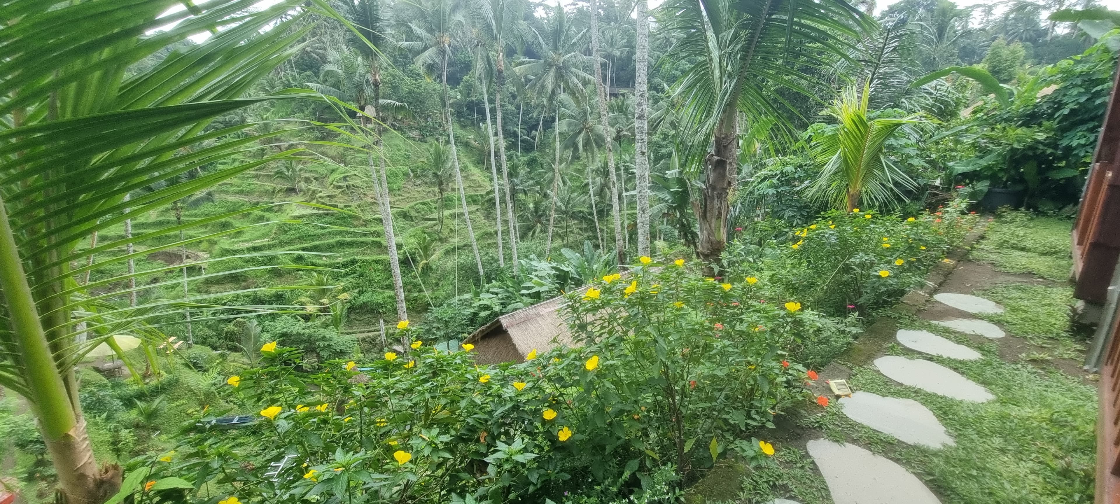 Bali — photo 18