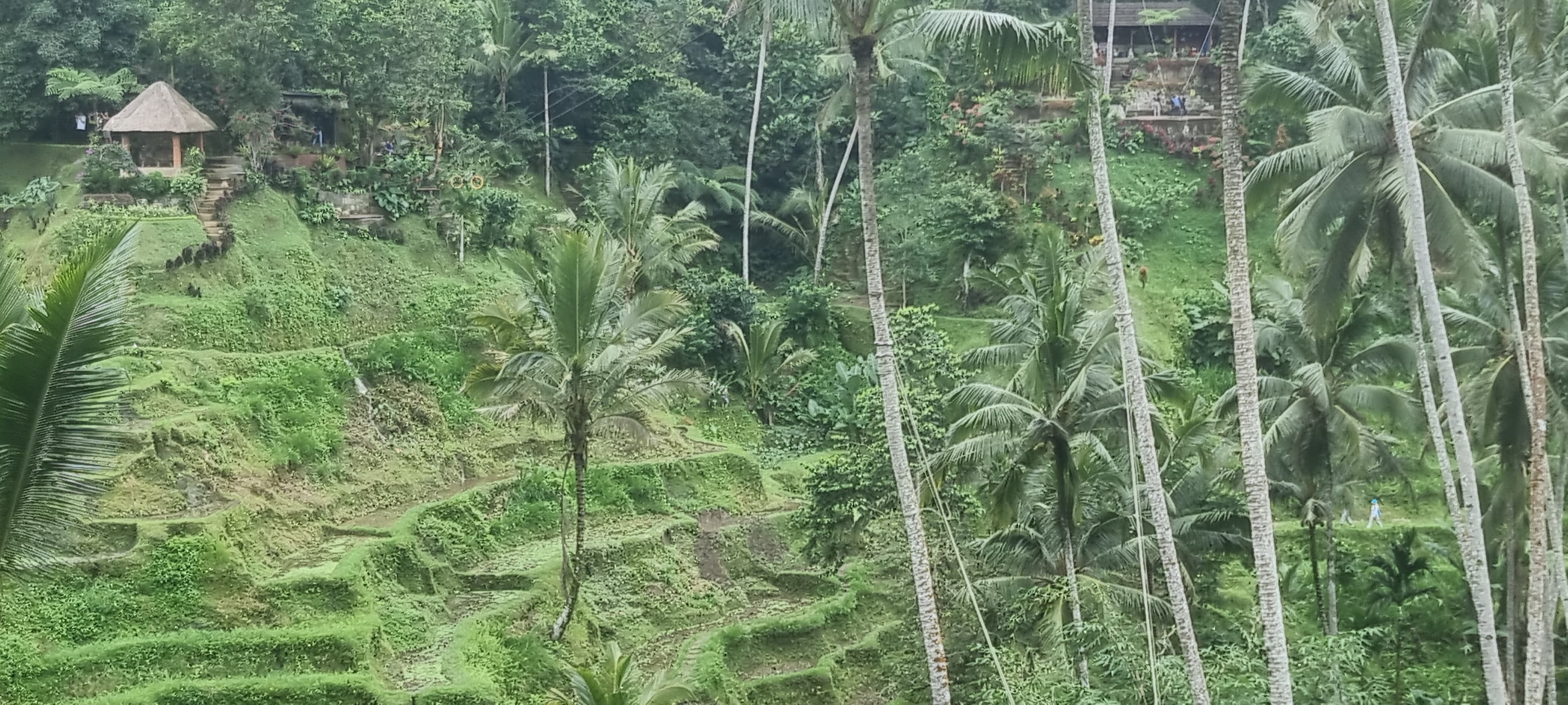 Bali — photo 19