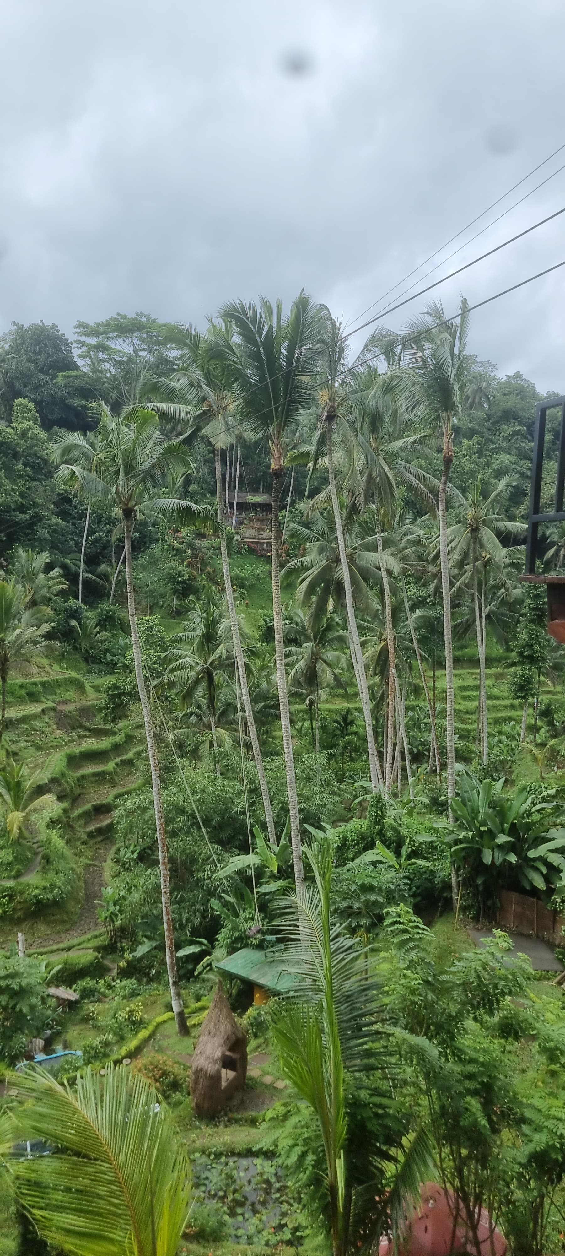 Bali — photo 20