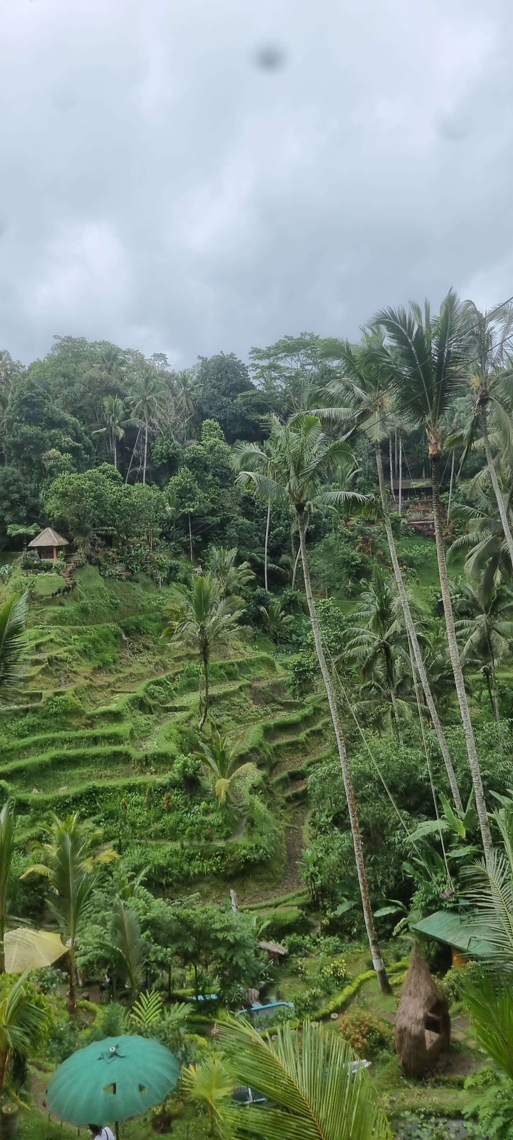 Bali — photo 21