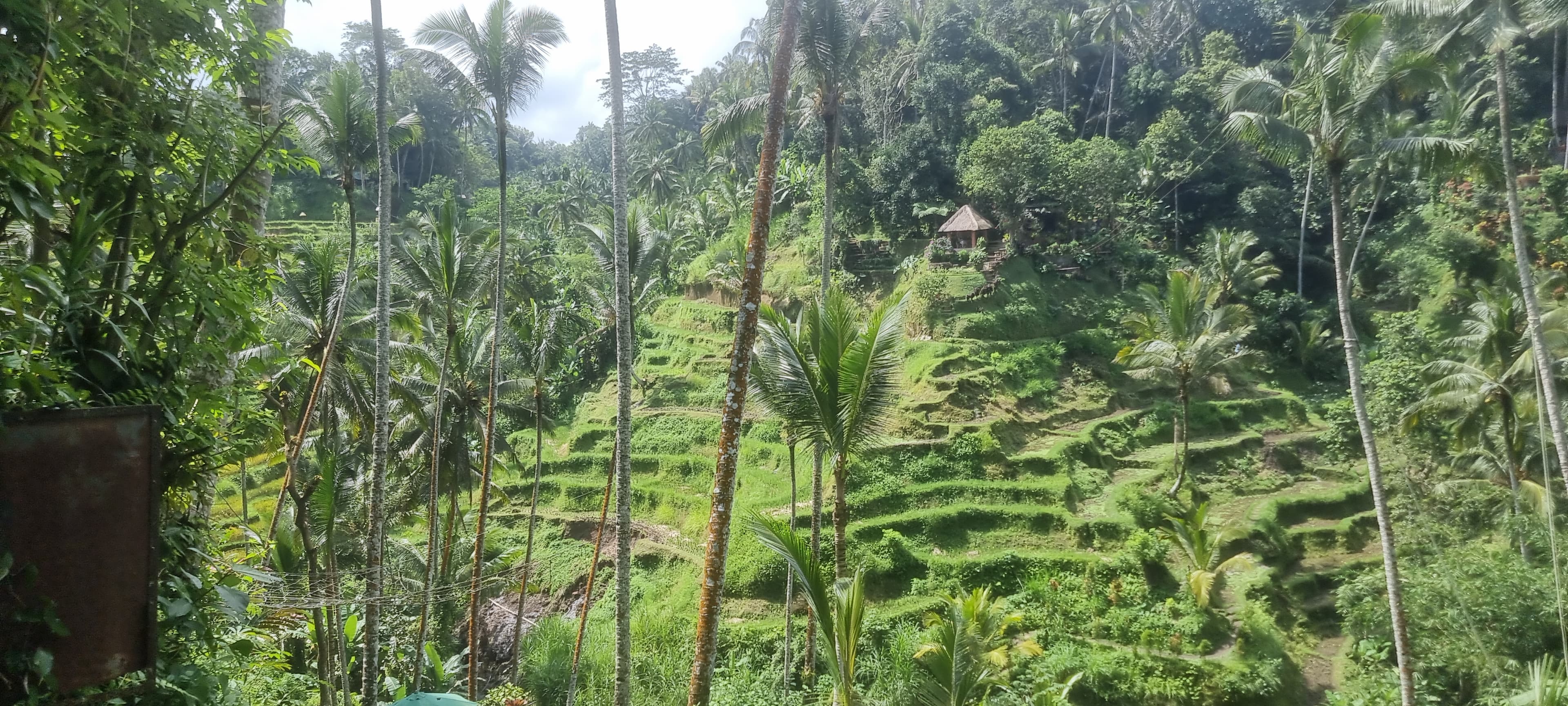 Bali — photo 25