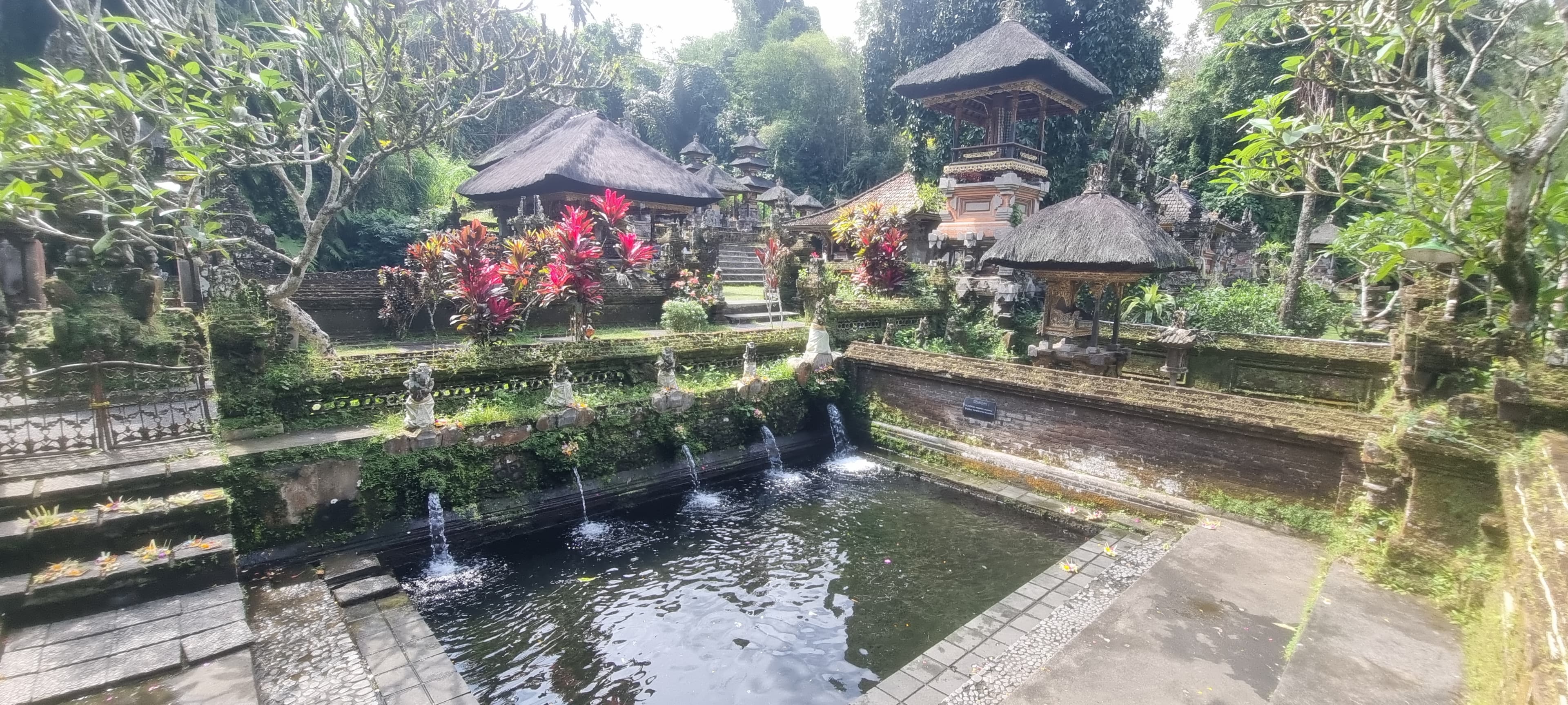 Bali — photo 28