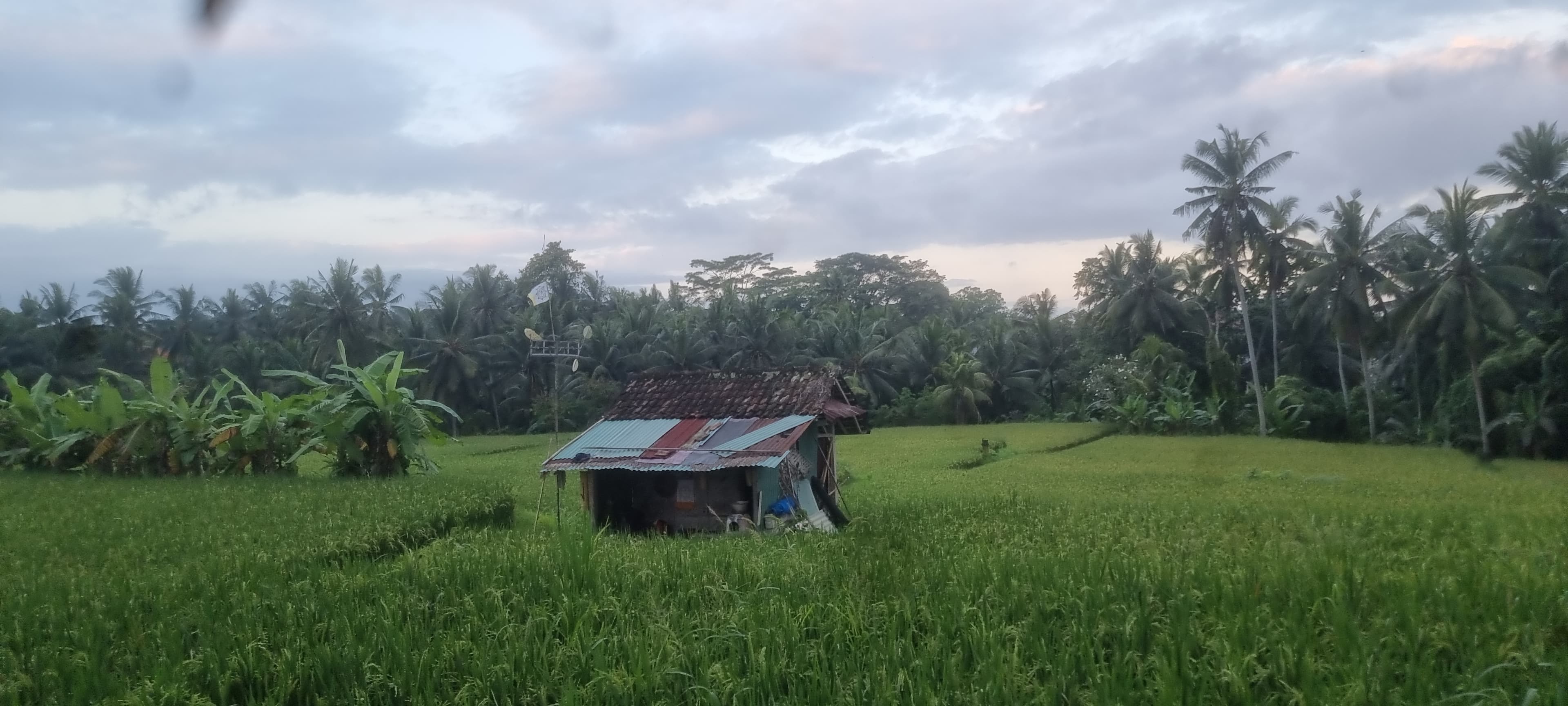 Bali — photo 30