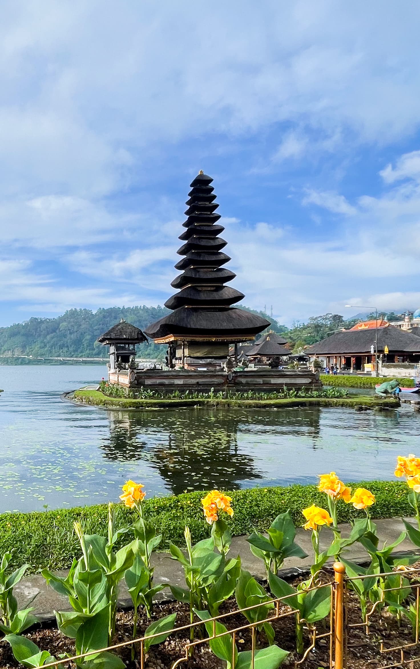 Bali — photo 40