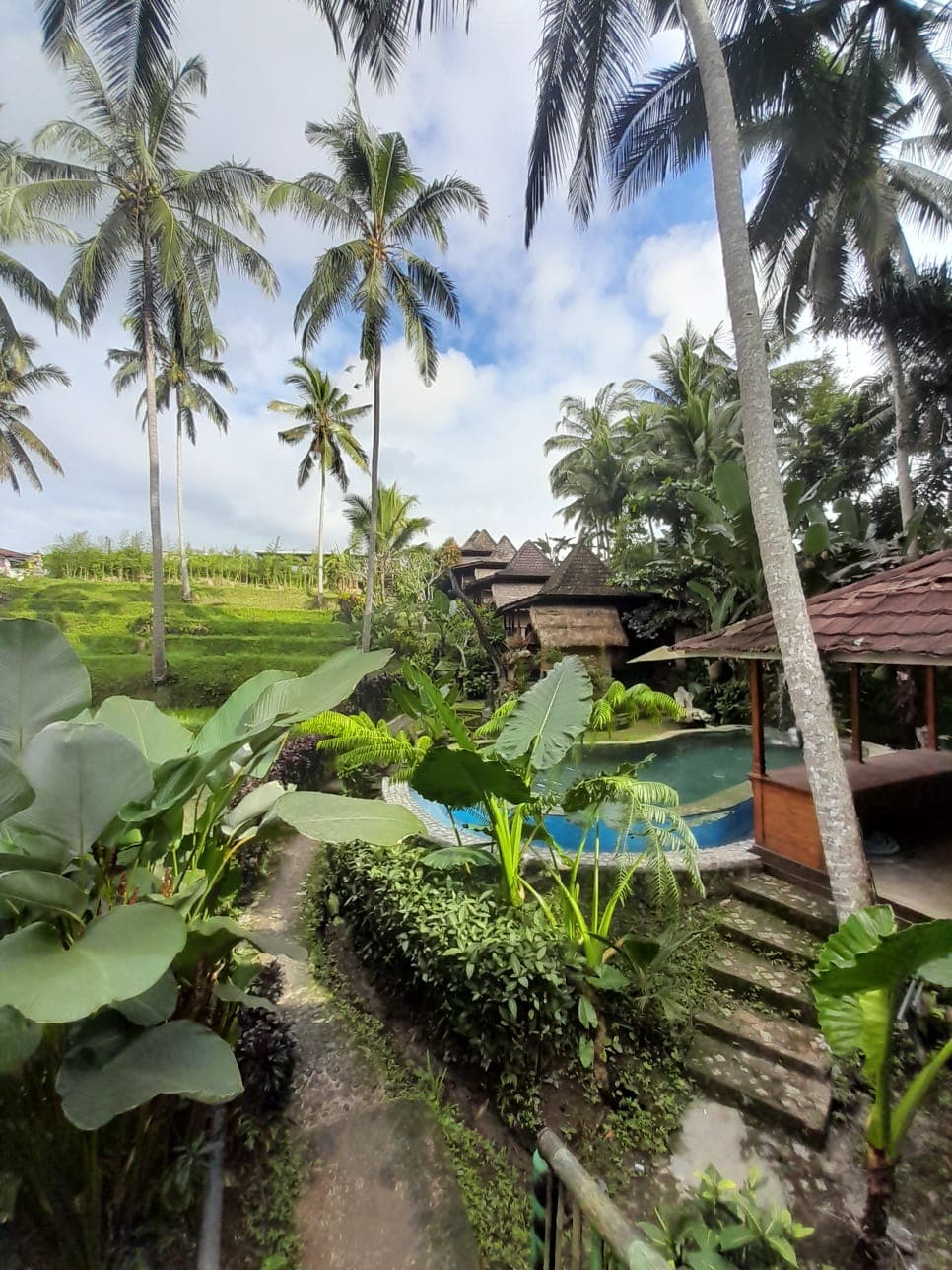 Bali — photo 41